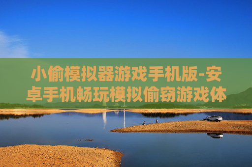 小偷模拟器游戏手机版-安卓手机畅玩模拟偷窃游戏体验