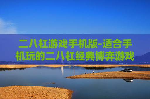 二八杠游戏手机版-适合手机玩的二八杠经典博弈游戏