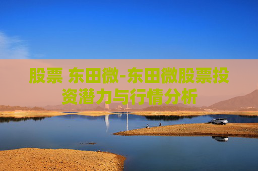 股票 东田微-东田微股票投资潜力与行情分析
