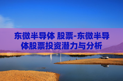 东微半导体 股票-东微半导体股票投资潜力与分析