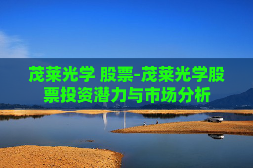 茂莱光学 股票-茂莱光学股票投资潜力与市场分析
