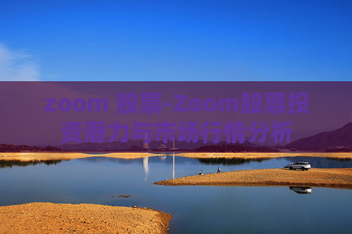 zoom 股票-Zoom股票投资潜力与市场行情分析