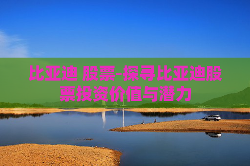 比亚迪 股票-探寻比亚迪股票投资价值与潜力