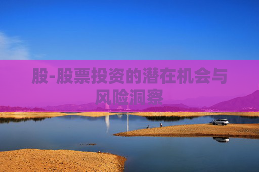 股-股票投资的潜在机会与风险洞察