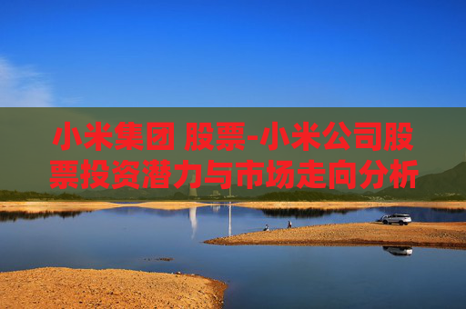 小米集团 股票-小米公司股票投资潜力与市场走向分析
