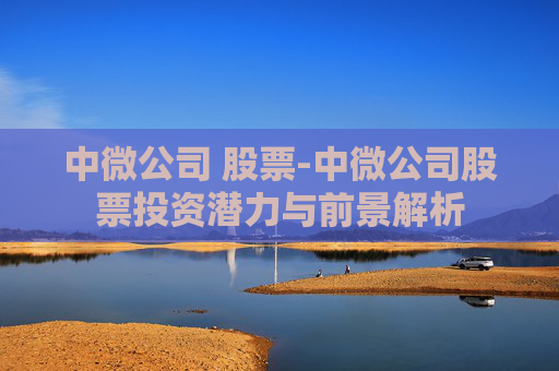 中微公司 股票-中微公司股票投资潜力与前景解析