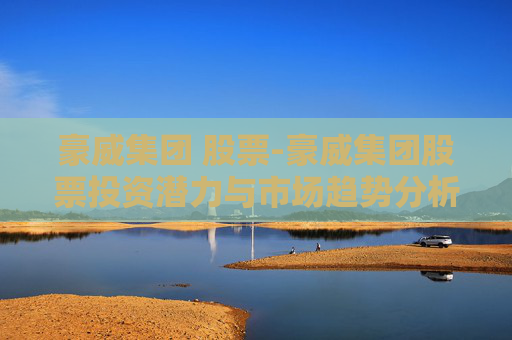 豪威集团 股票-豪威集团股票投资潜力与市场趋势分析
