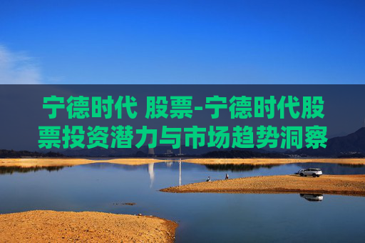 宁德时代 股票-宁德时代股票投资潜力与市场趋势洞察