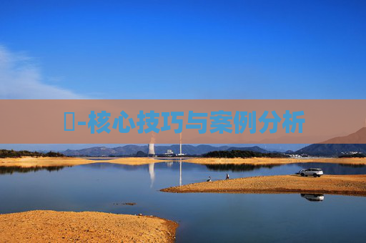 時-核心技巧与案例分析