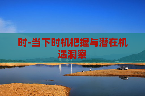 时-当下时机把握与潜在机遇洞察 时-当下时机把握与潜在机遇洞察
