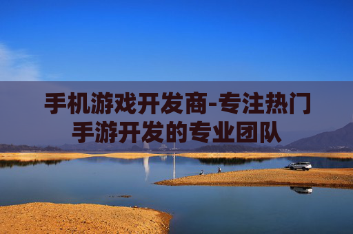 手机游戏开发商-专注热门手游开发的专业团队